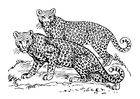 Målarbild leopard