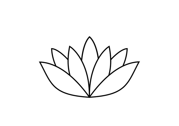 Målarbild lotusblomma