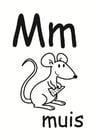 m