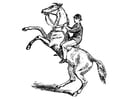 F�rgl�ggningsbilder man på en häst