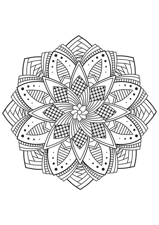 mandala blomma