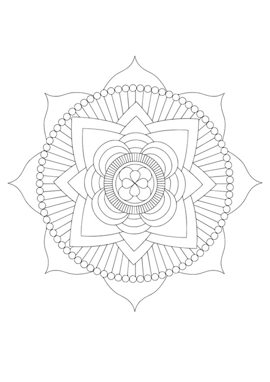 Målarbild mandala - lotus