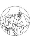 mangrove - rötter