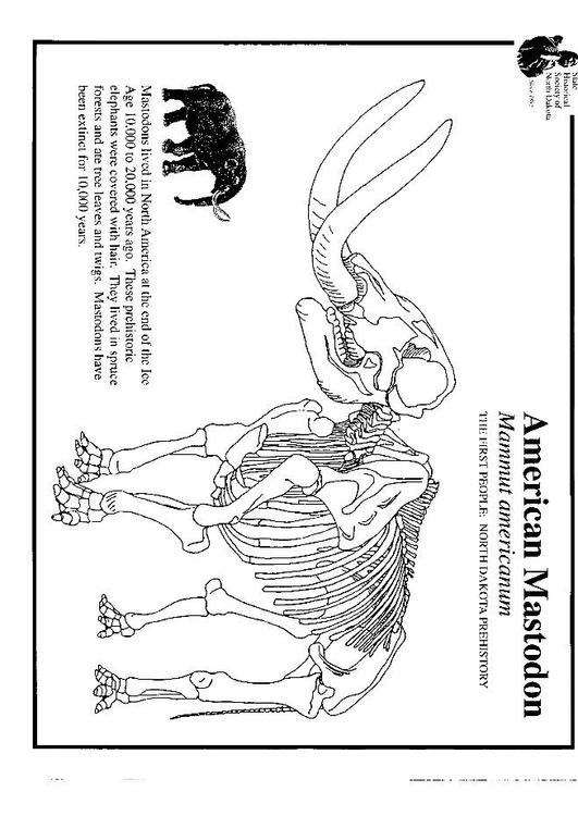 mastodont