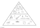 F�rgl�ggningsbilder Matpyramid