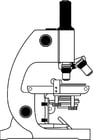 F�rgl�ggningsbilder mikroskop