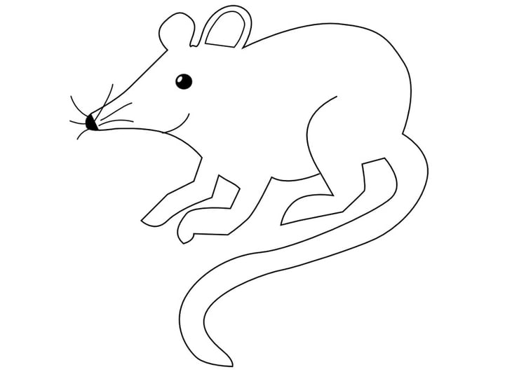 Målarbild mus