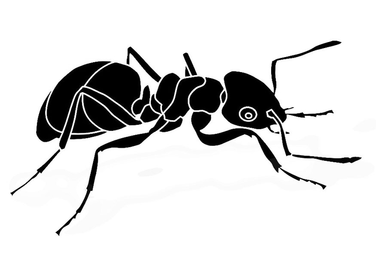 Målarbild myra