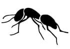 F�rgl�ggningsbilder myra