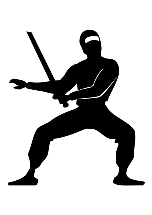 Målarbild Ninja