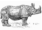 noshörning