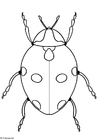 malarbild nyckelpiga