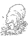 F�rgl�ggningsbilder nyfött lamm