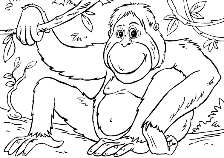 Målarbild orangutang