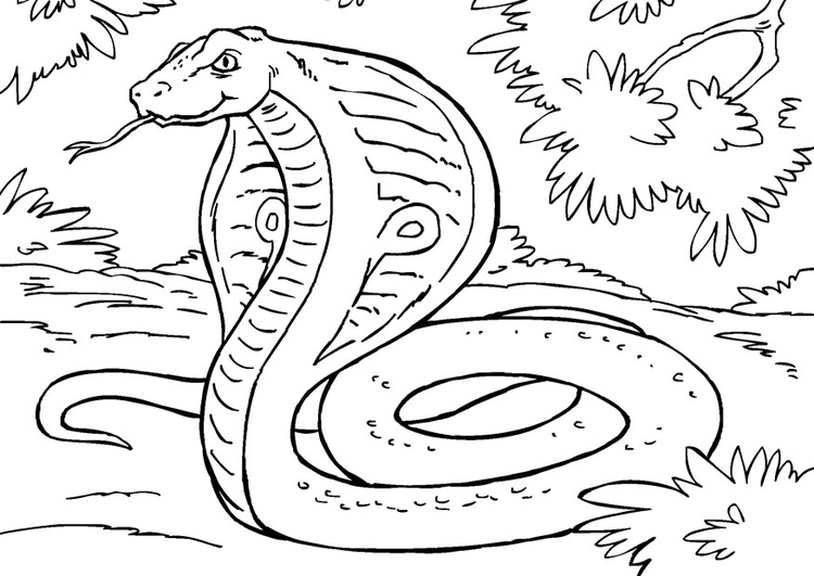 Målarbild orm, kobra