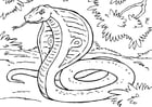 F�rgl�ggningsbilder orm, kobra