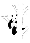 F�rgl�ggningsbilder panda i träd