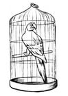 Målarbild papegoja i bur