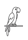Målarbild papegoja