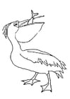 Målarbild pelikan Ã¤ter fisk