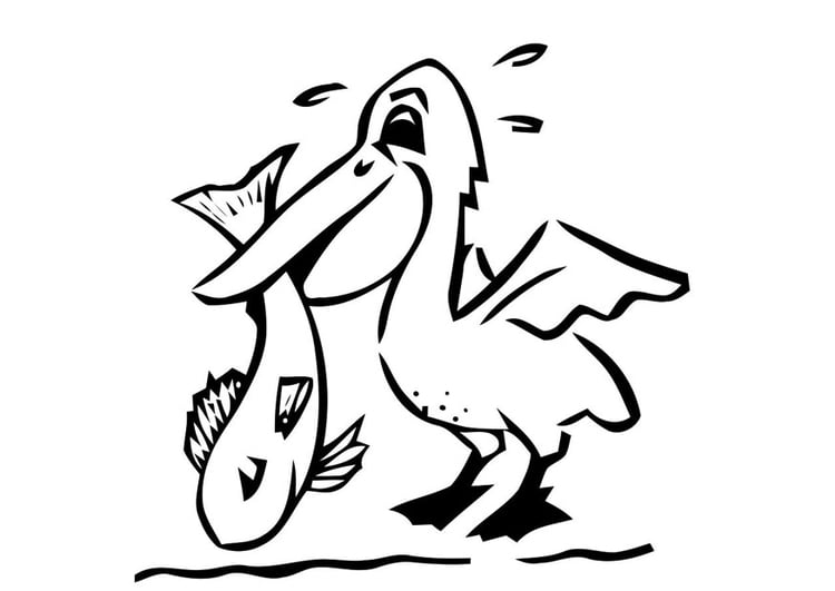 Målarbild pelikan med fisk