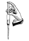 pipett