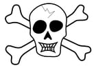 F�rgl�ggningsbilder piratsymbol