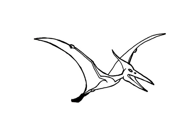 Målarbild pterosaurus