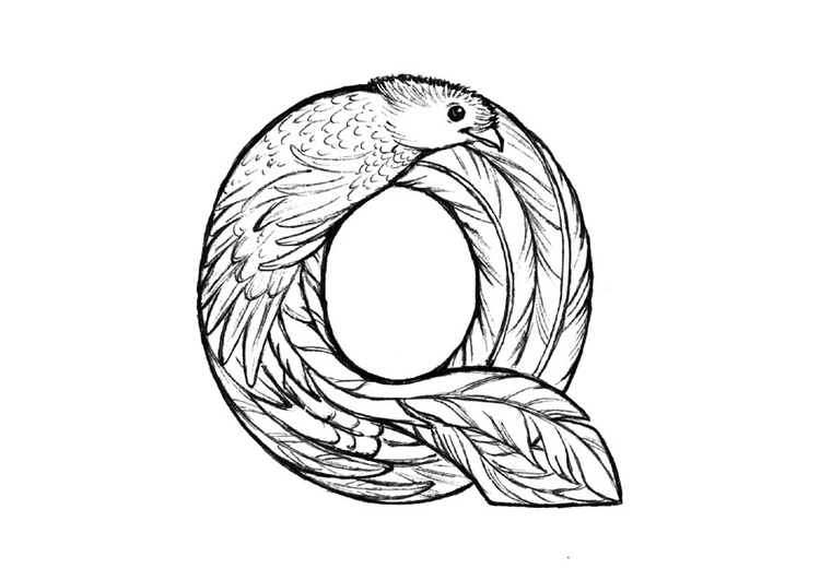 Målarbild q-quetzal