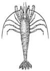 Målarbild rÃ¤ka