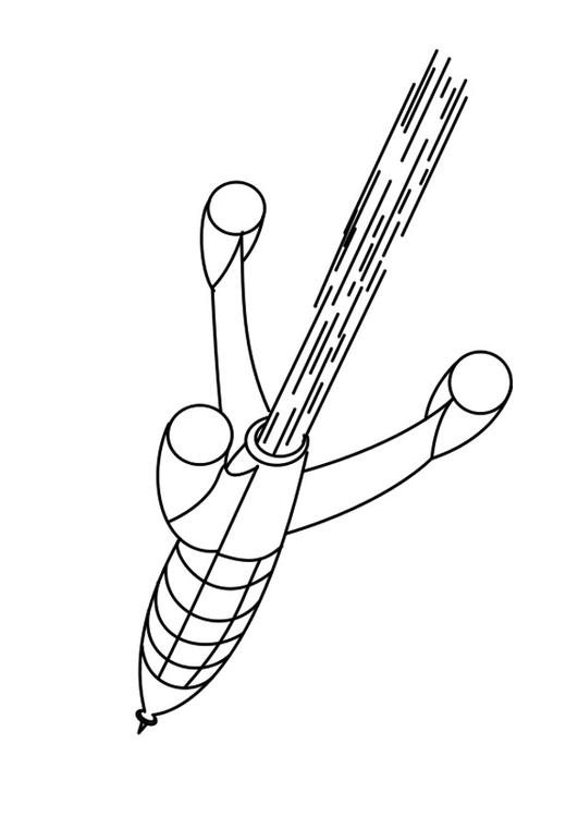 raket