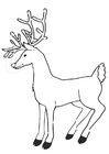 Målarbild ren