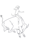rodeo på bisonoxe