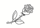malarbild ros