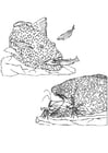 Målarbild rovfiskar, smÃ¥fiskar och rÃ¤kor