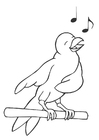malarbild sångfågel