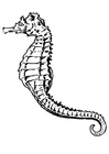 Målarbild sjÃ¶hÃ¤st