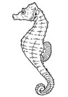 sjöhäst
