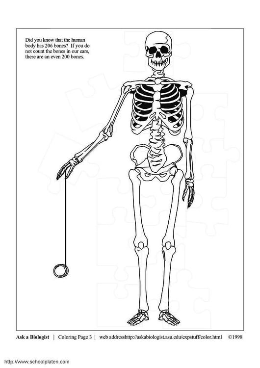 Målarbild skelett