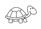 Målarbild sköldpadda