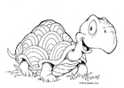 sköldpadda