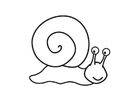 snigel