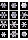 Foto snöflinga - snökristall