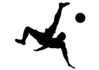 spela fotboll