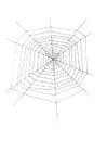 F�rgl�ggningsbilder spindelväv