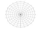 spindelväv