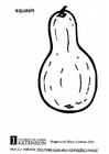 Squash