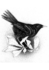 malarbild stare