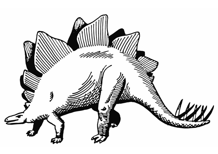Målarbild stegosaurus