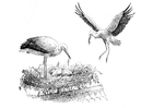 Målarbild storkbo
